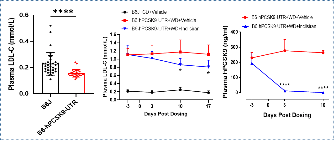 降脂药物研究利器 B6 Hpcsk9小鼠