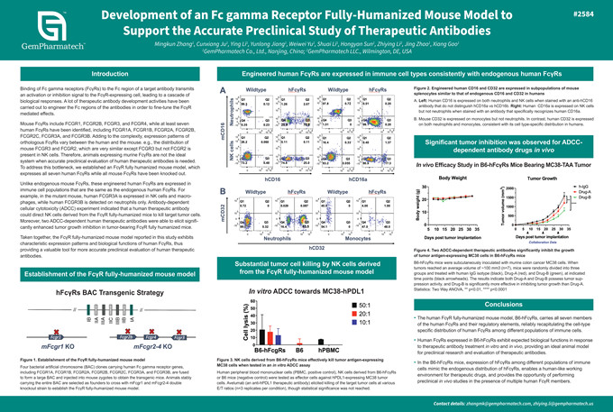 Fcgr fully-humanized mouse model to support the accurate preclinical study of therapeutic antibodies
