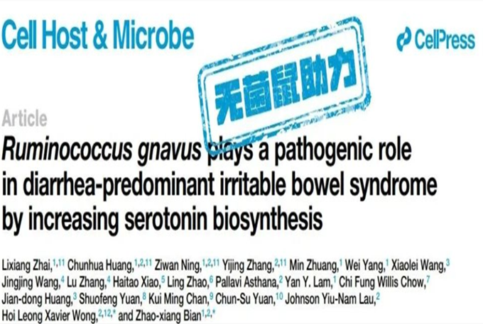 动物模型实验|香港浸会大学团队研究揭示活泼瘤胃球菌通过转化芳香氨基酸促进5-HT合成加重IBS-D新机制