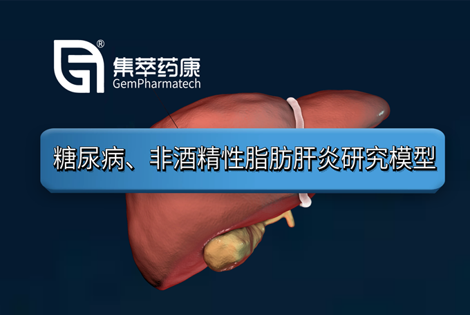 新品上市 | 糖尿病、非酒精性脂肪肝炎研究模型