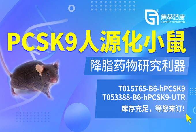 降脂药物研究动物实验模型：PCSK9人源化小鼠