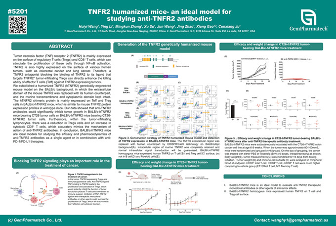 TNFR2 humanized mice- an ideal model for studying anti-TNFR2 antibodies