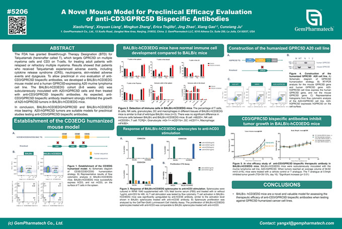 A Novel Mouse Model for Preclinical Efficacy Evaluation  of anti-CD3/GPRC5D Bispecific Antibodies