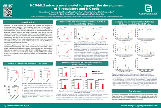 NCG-hIL2 mice: a novel model to support the development of T regulatory and NK cells