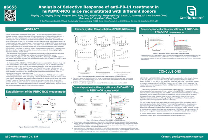 Analysis of Selective Response of anti-PD-L1 treatment in  huPBMC-NCG mice