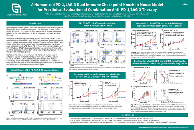 Humanized PD-1/LAG-3 mice for preclinical combination therapy