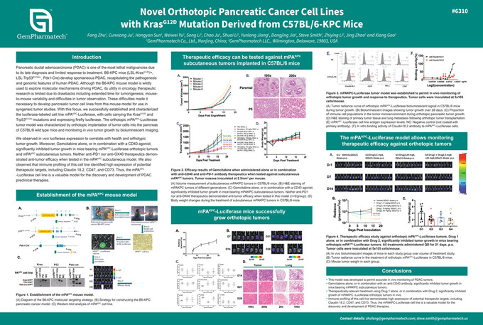 Novel orthotopic pancreatic cancer cell lines derived from B6-KPC mice