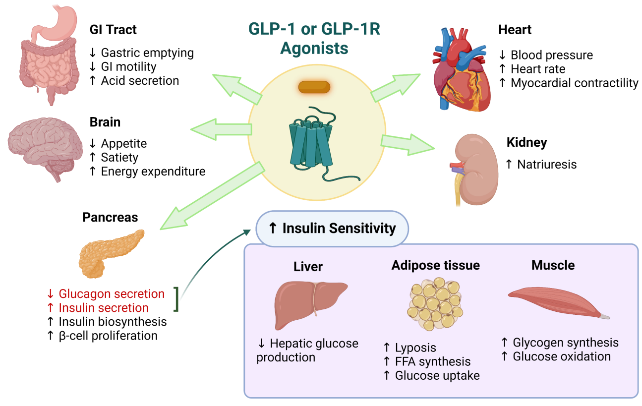 Bioglutide NA-931 inhibitor | Shaanxi BLOOM Tech Co., Ltd Bioglutide NA-931 inhibitor | Shaanxi BLOOM Tech Co., Ltd