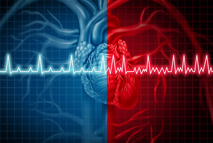 心血管疾病领域：STTT最新动物研究成果揭示心肌纤维化潜在治疗策略