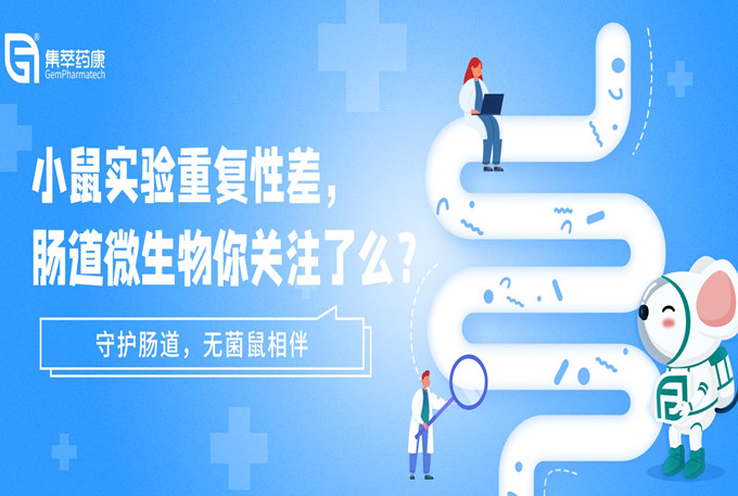 香蕉视频下载地址无菌鼠
