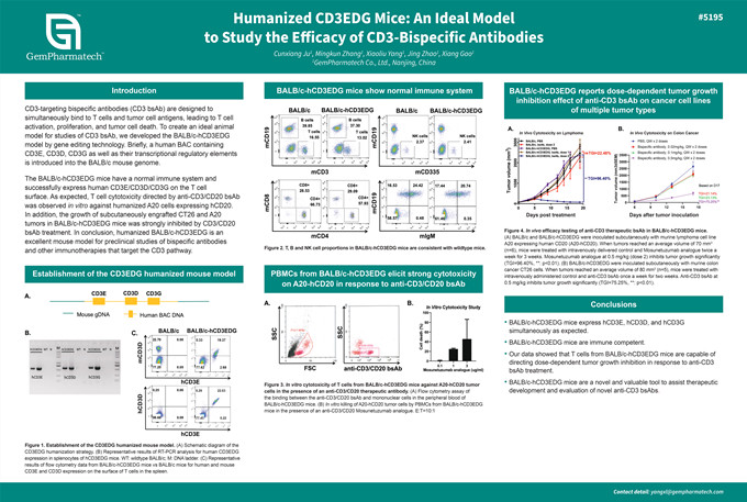 Humannized CD3E,D,G Mice an Ideal Model for Efficacy Study of CD3-bispecific Antibodies
